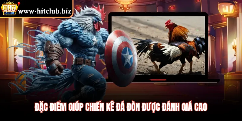 Đặc điểm giúp chiến kê đá đòn được đánh giá cao