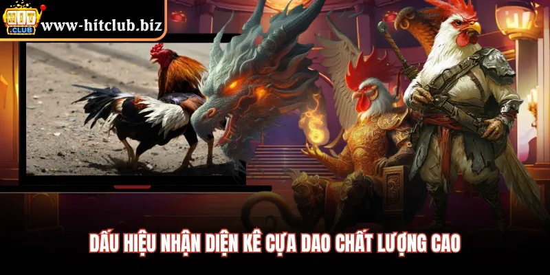 Dấu hiệu nhận diện kê cựa dao chất lượng cao