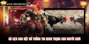 Gà Cựa Dao Bật Mí Thông Tin Quan Trọng Cho Người Chơi