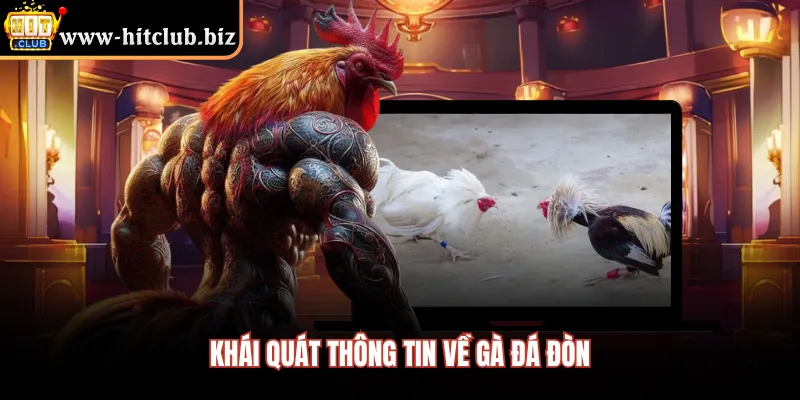 Khái quát thông tin về gà đá đòn 