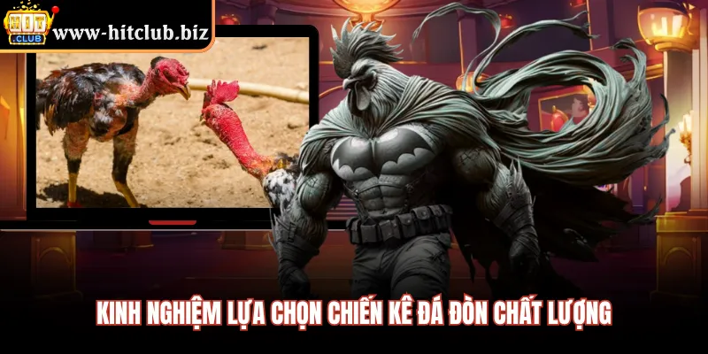 Kinh nghiệm lựa chọn chiến kê đá đòn chất lượng