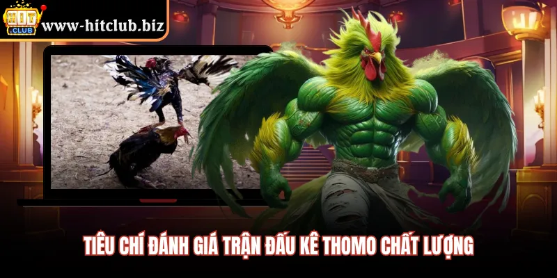 Tiêu chí đánh giá trận đấu kê thomo chất lượng