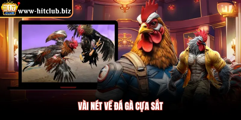 Vài nét về đá gà cựa sắt 